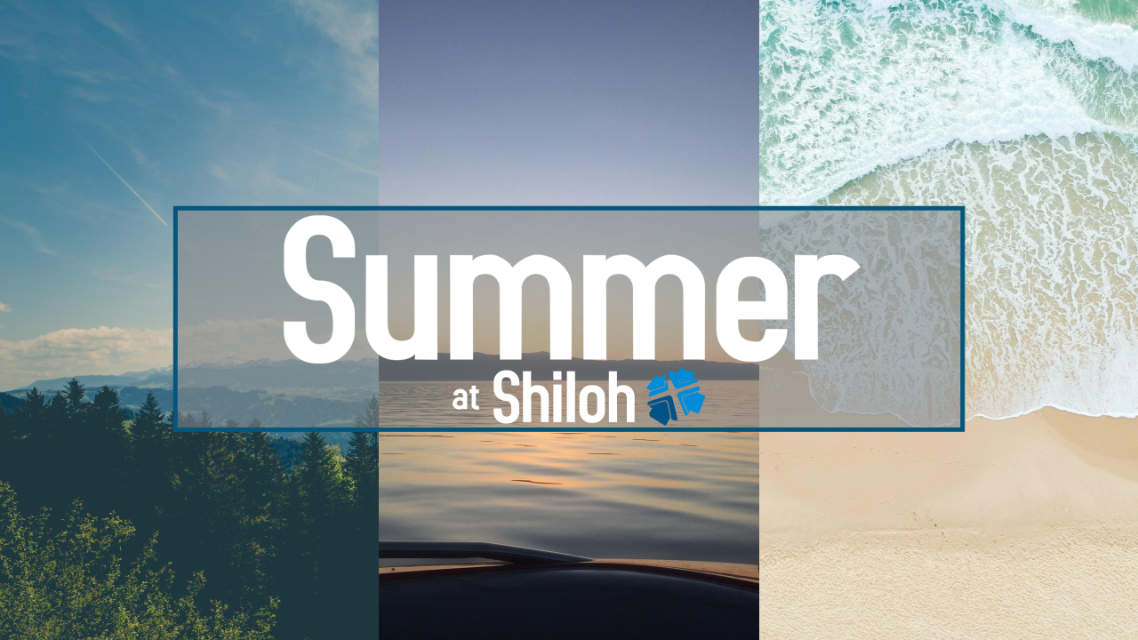 Current Series: Summer at Shiloh